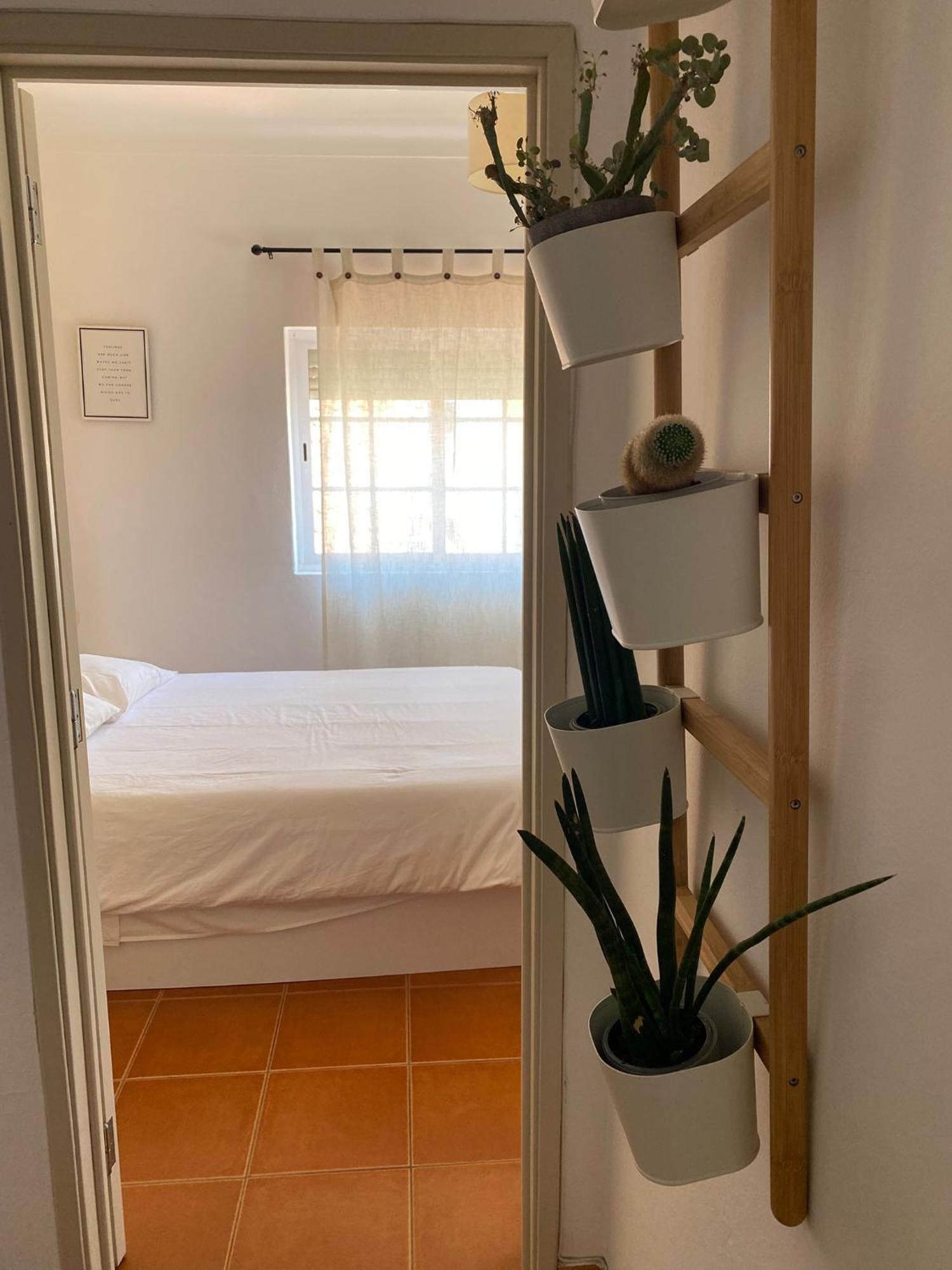 Apartamento Vicentino Vila Nova de Milfontes Eksteriør billede