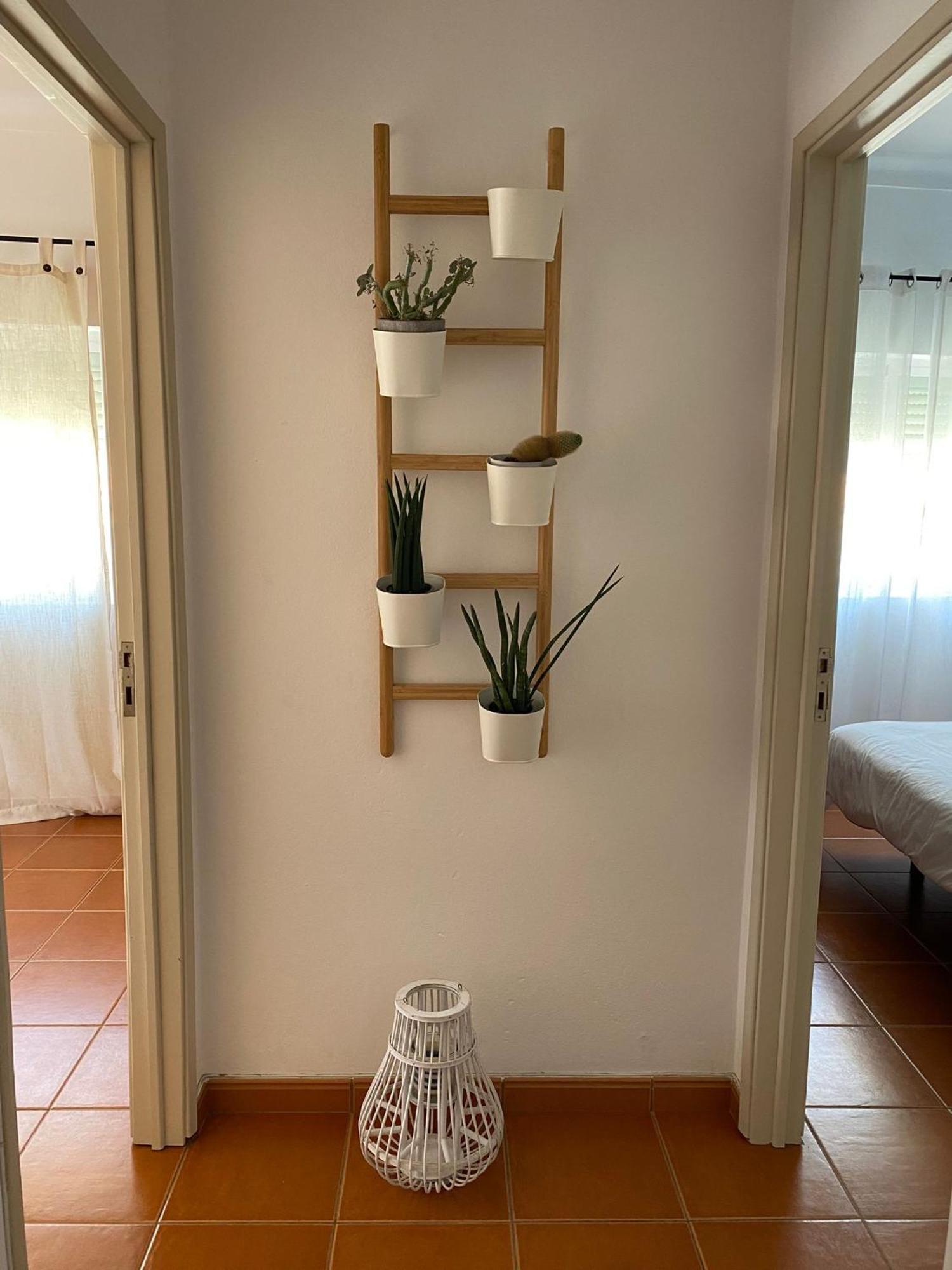 Apartamento Vicentino Vila Nova de Milfontes Eksteriør billede